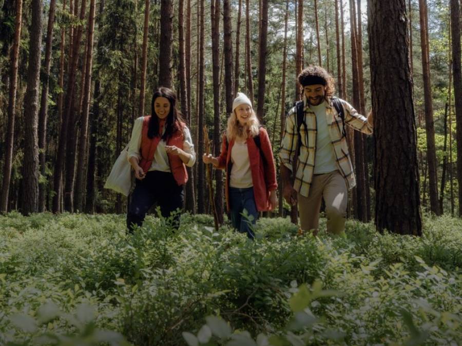 Three young hikers in casual outdoor clothing walk through tall grass in a sunny forest